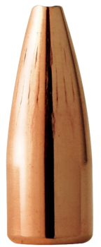 Barnes .204 Varminator 32 gr HP FB Geschosse 100 Stück