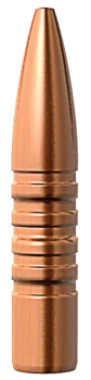 Barnes .284 TSX 160 gr FB Geschosse 50 Stück