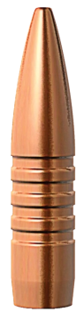 Barnes .308 TSX 130 gr BT Geschosse 50 Stück