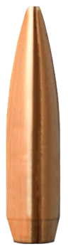 Barnes .308 Match Burner BT 155 gr Geschosse 100 Stück