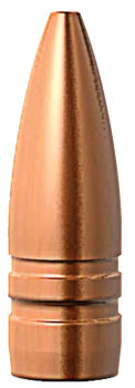 Barnes .310 TSX 123 gr BT Geschosse 50 Stück