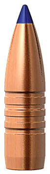 Barnes .416 TTSX 350 gr BT Geschosse 50 Stück