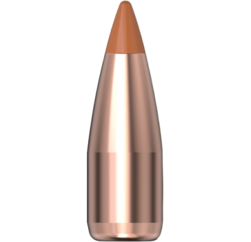Hornady .204 NTX 24gr 100 Stück