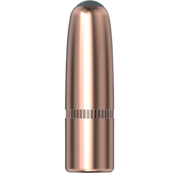 Hornady .308 InterLock 180gr 100 Stück