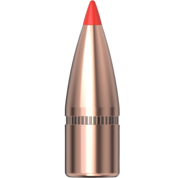 Hornady .310 SST 123gr 100 Stück