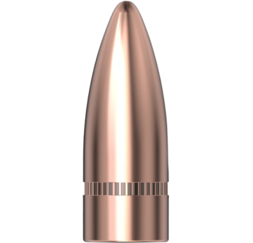 Hornady .310 FMJ 123gr 2800 Stück