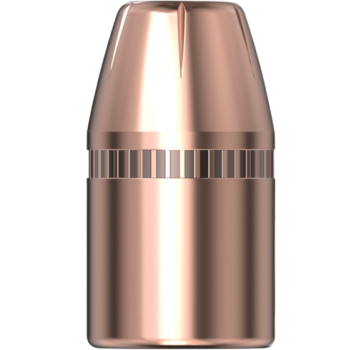 Hornady .310 XTP 100gr 100 Stück