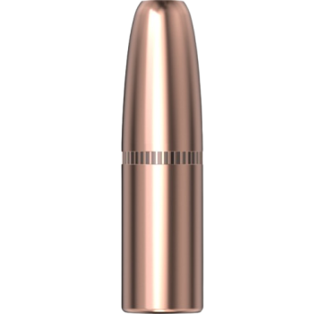 Hornady .366 DGS 300gr 50 Stück