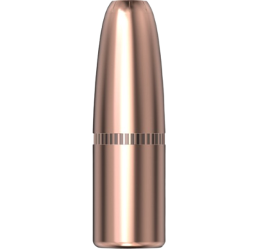 Hornady .375 DGX Bonded 300gr 50 Stück