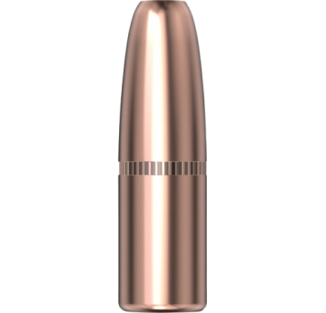 Hornady .375 DGS 300gr 50 Stück