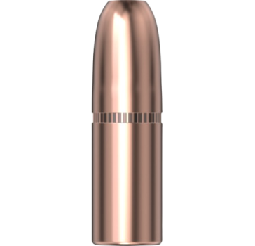 Hornady .410 DGS 400gr 50 Stück