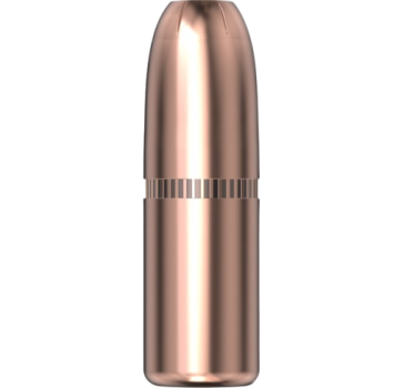 Hornady .410 DGX Bonded 400gr 50 Stück