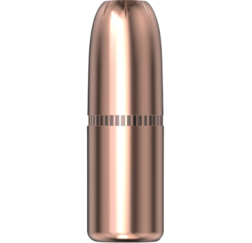Hornady .423 DGX Bonded 400gr 50 Stück