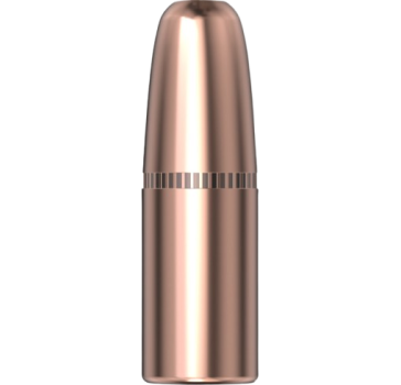 Hornady .423 DGS 400gr 50 Stück