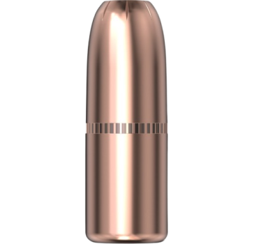 Hornady .458 DGX Bonded 480gr 50 Stück