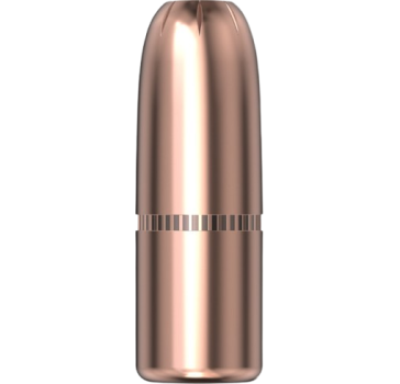 Hornady .458 DGX Bonded 500gr 50 Stück