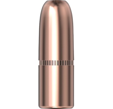 Hornady .458 DGS 500gr 50 Stück