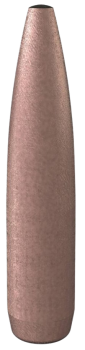 Speer .308 Gold Dot 168gr 50 Stück