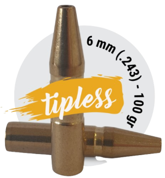 FOX .243 Classic Hunter TPL 100 gr 50 Stück