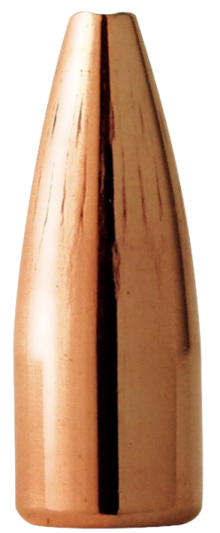 Barnes .204 Varminator 32 gr HP FB Geschosse 100 Stück