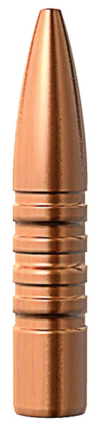 Barnes .284 TSX 175 gr FB Geschosse 50 Stück