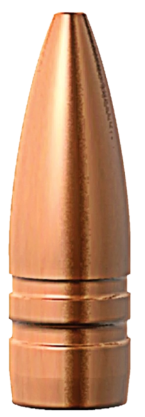Barnes .310 TSX 123 gr BT Geschosse 50 Stück
