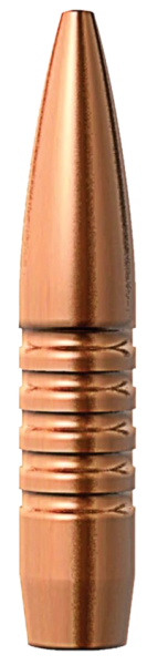 Barnes .338 TSX 285 gr BT Geschosse 50 Stück