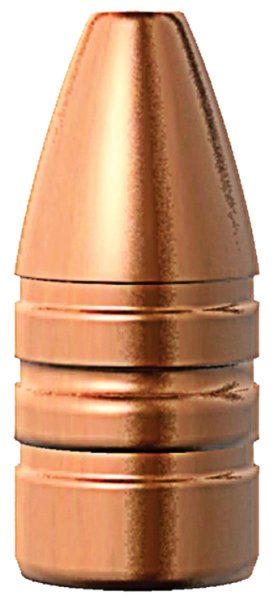 Barnes .451 XPB 250 gr Geschosse 20 Stück