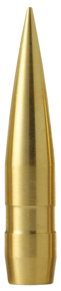 Barnes .510 Banded Solid BT 750 gr Geschosse 20 Stück