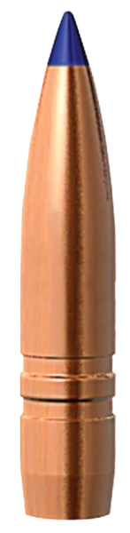 Barnes .243 LRX 95 gr BT Geschosse 50 Stück