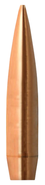 Barnes .243 Match Burner BT 112 gr Geschosse 100 Stück