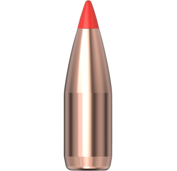 Hornady .243 V-MAX 65gr 100 Stück Hornady .243 V-MAX 65gr 100 Stück
