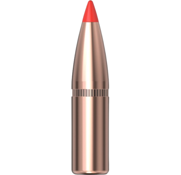 Hornady .243 SST 95gr 100 Stück