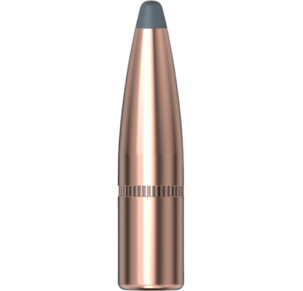 Hornady .284 InterLock 154gr 100 Stück Hornady .284 InterLock 154gr 100 Stück