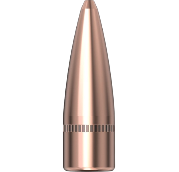 Hornady .308 Varmint 125gr 100 Stück Hornady .308 Varmint 125gr 100 Stück