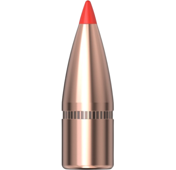 Hornady .310 SST 123gr 100 Stück Hornady .310 SST 123gr 100 Stück