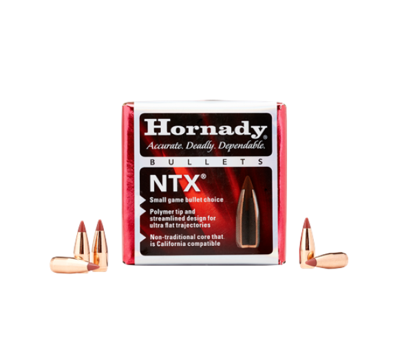Hornady .172 NTX 15,5gr