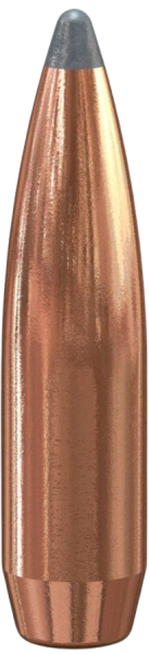 Speer .243 Boat-Tail 100gr 100 Stück