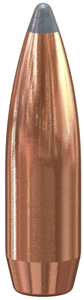 Speer .257 Boat-Tail 100gr 100 Stück