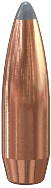 Speer .284 Boat-Tail 130gr 100 Stück