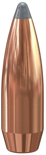 Speer .375 Boat-Tail 270gr 50 Stück