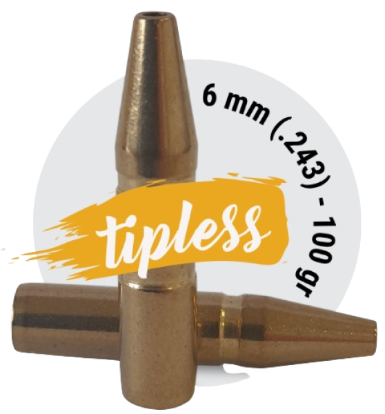 FOX .243 Classic Hunter TPL 100 gr 50 Stück