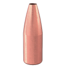 Speer .204 TNT 39gr 100 Stück
