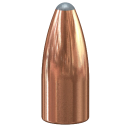 Speer .224 Varmint 45gr 100 Stück