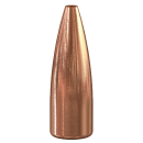 Speer .224 TNT 50gr 100 Stück