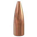 Speer .224 TNT 55gr 100 Stück