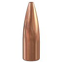 Speer .243 TNT 70gr 100 Stück