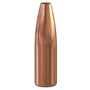 Speer .257 Varmint 100gr 100 Stück