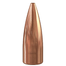 Speer .308 TNT 125gr 100 Stück
