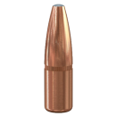 Speer .308 Grand-Slam 180gr 50 Stück